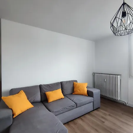 Tigre Au Sein D'un - Bd Clementel Privat bolig Clermont-Ferrand